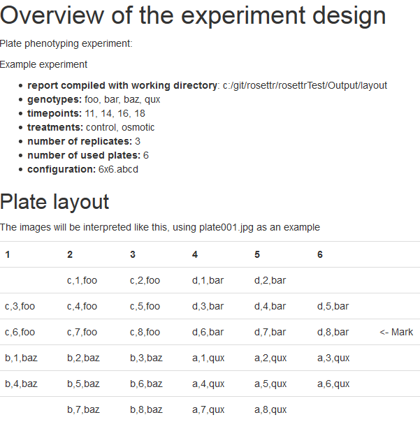 screenshot from the template layout report